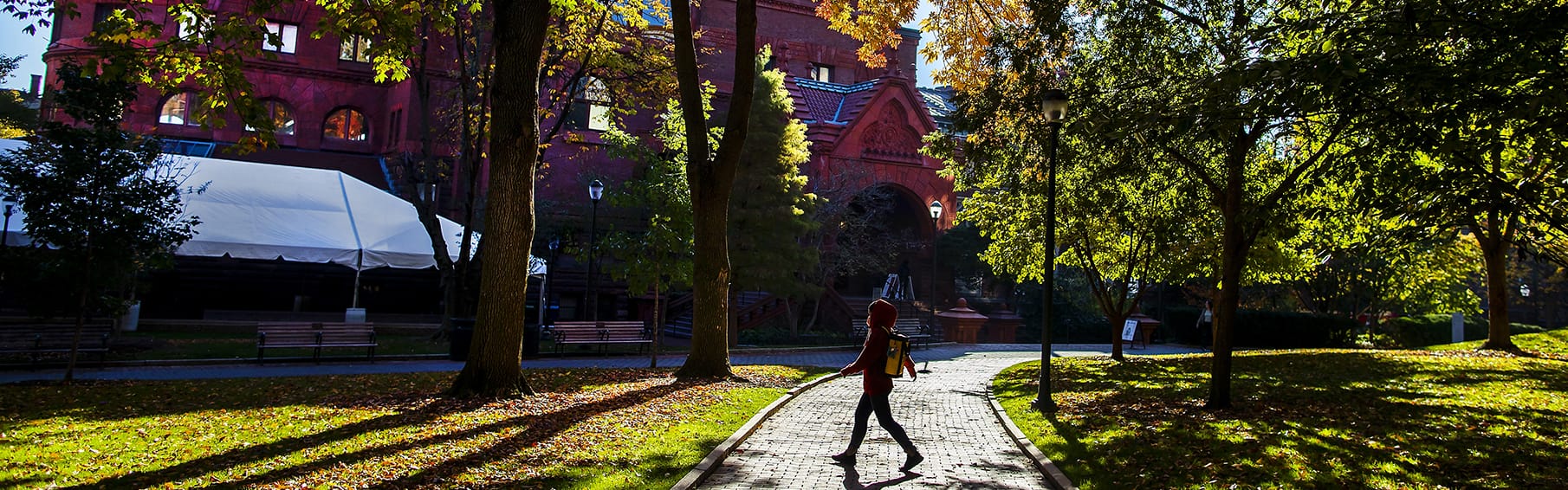 locust walk facing fisher fine arts library