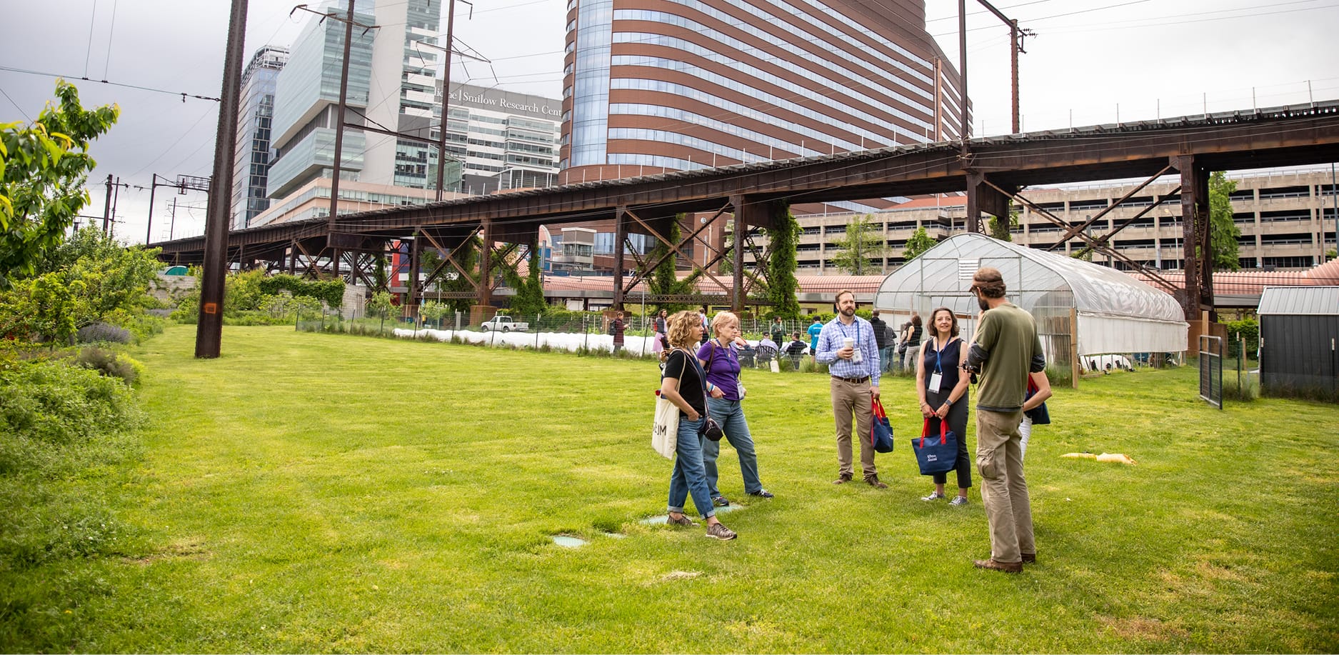 people gatherine outside