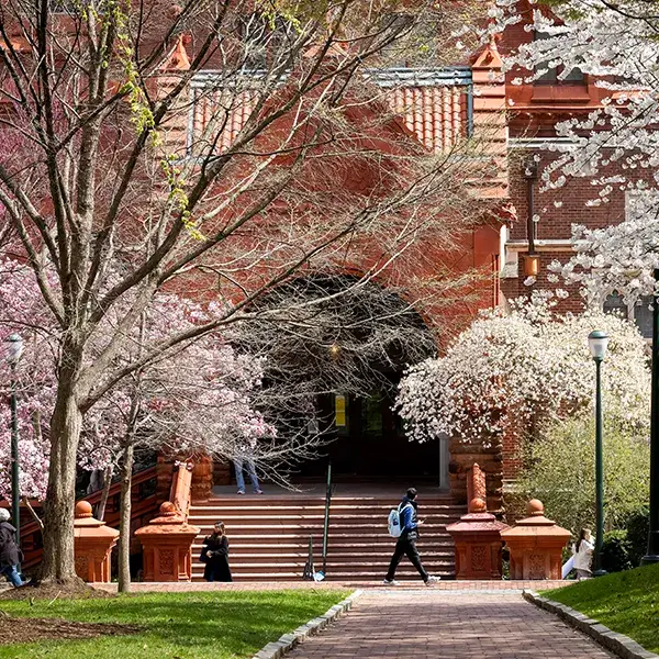 The University of Pennsylvania campus in spring, with students walking by the historic Fisher Fine Arts Library.