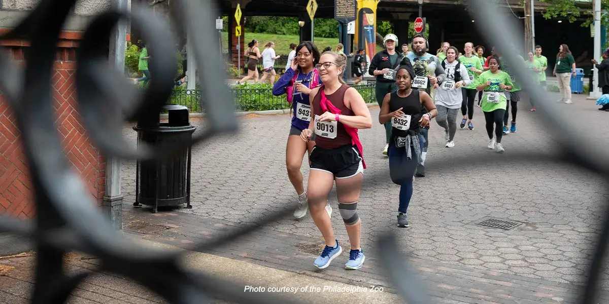 Runners participating in a community race at the Philadelphia Zoo.
